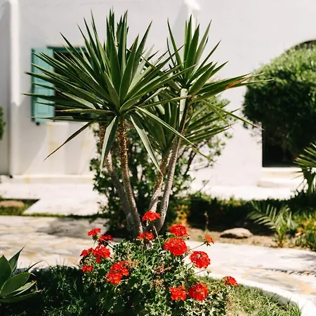 Apartament Horizon Nest Mykonos Ornos!