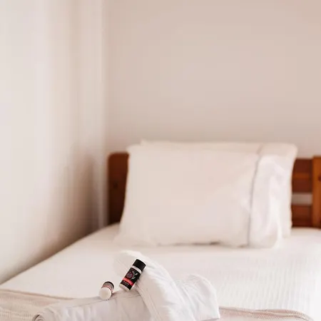 Apartament Horizon Nest Mykonos Ornos! *