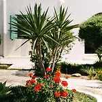 Apartamento Horizon Nest Mykonos Ornos!